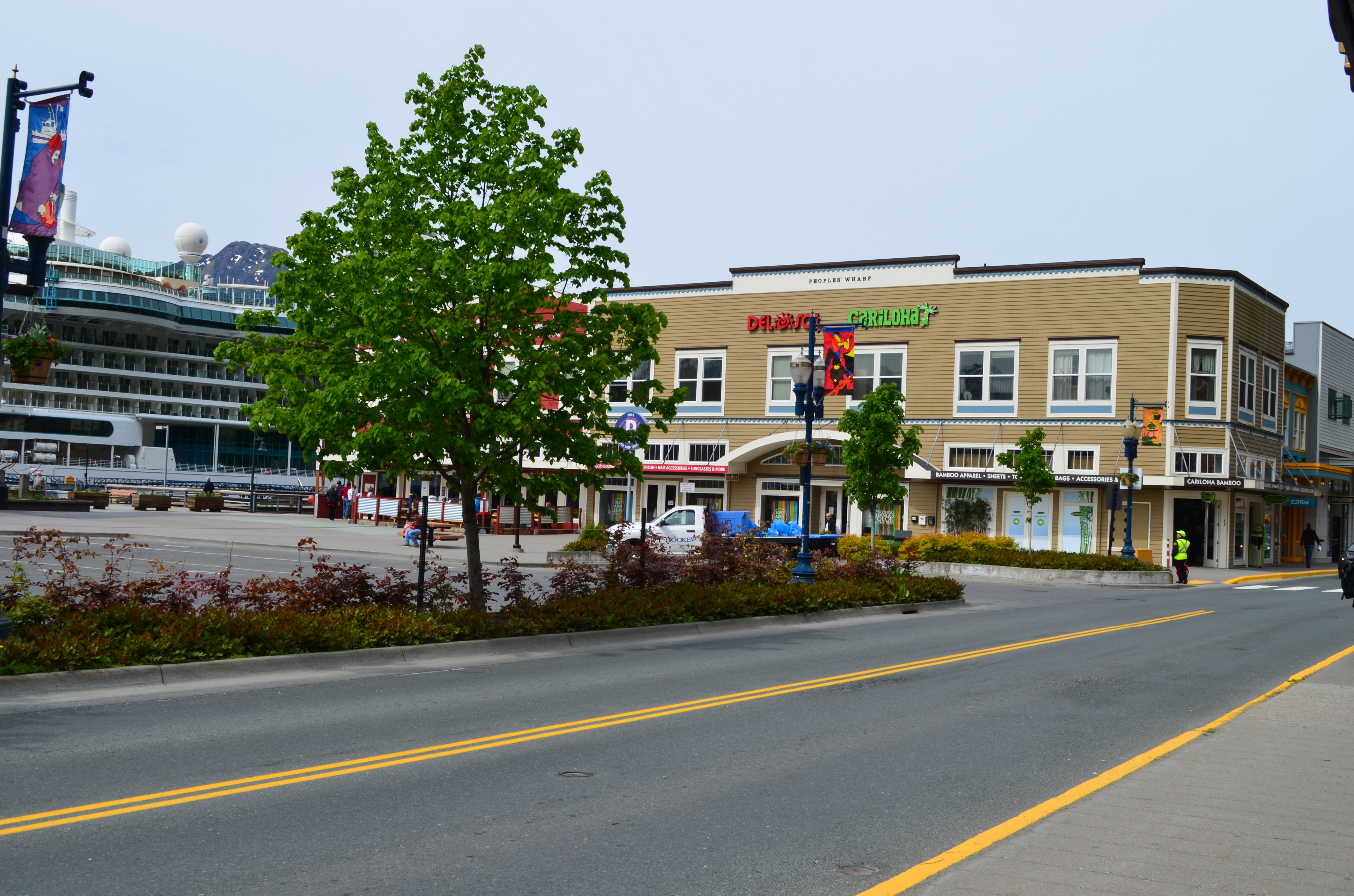 ./2017/08 - Alaska Cruise/08 - Juneau/DSC_0944.JPG